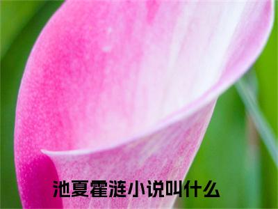 池夏霍涟（池夏霍涟小说）全文免费阅读无弹窗大结局_(池夏霍涟小说免费阅读全文大结局)最新章节列表_笔趣阁（池夏霍涟）