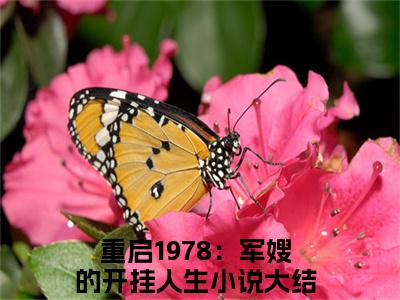 盛曦赵时砚（重启1978：军嫂的开挂人生）全文免费阅读_（重启1978：军嫂的开挂人生）小说盛曦赵时砚最新章节阅读