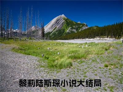 黎莉陆斯琛全网首发最新小说主角黎莉陆斯琛全文在线免费阅读