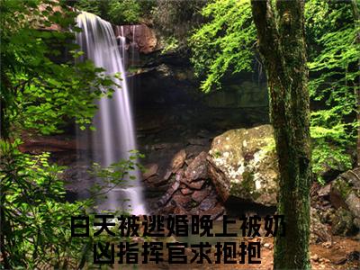 （免费）+（结局）苏晚顾爵美文欣赏完整版，白天被逃婚晚上被奶凶指挥官求抱抱精彩章节在线阅读