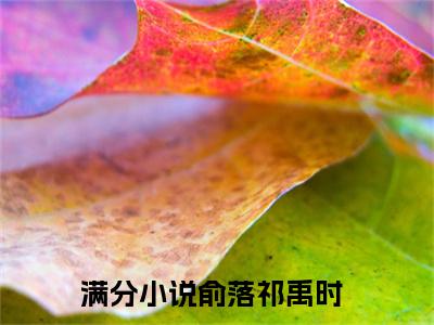 俞落祁禹时精选言情小说- 俞落祁禹时全文在线阅读