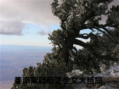 姜南絮陆衍之（姜南絮陆衍之）小说完整版阅读-姜南絮陆衍之小说全文免费阅读