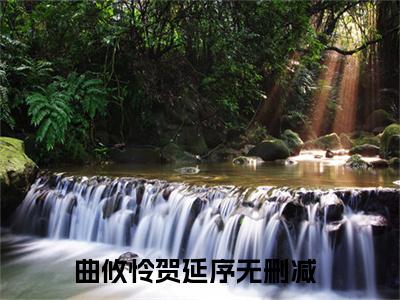 曲攸怜贺延序（曲攸怜贺延序）小说全文免费阅读_（曲攸怜贺延序）小说全文无删减版在线阅读