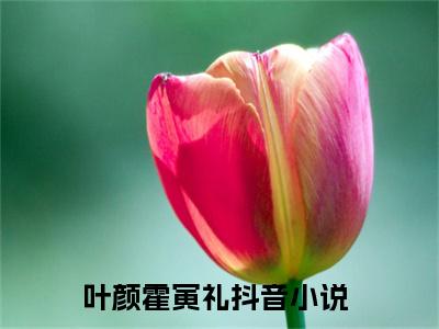 叶颜霍寅礼最新章节免费阅读-叶颜霍寅礼小说排行榜top1小说全文阅读