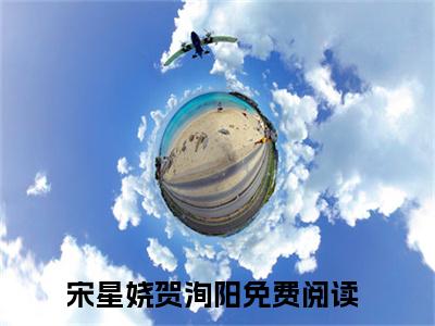 宋星娆贺洵阳（宋星娆贺洵阳）全文免费阅读无弹窗大结局_宋星娆贺洵阳完本小说最新章节阅读