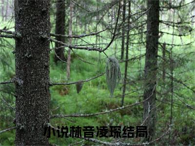 林音凌琛的小说(林音凌琛)最新章节全文免费阅读_笔趣阁