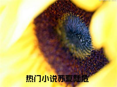 苏夏陆危小说最新章节（苏夏陆危全文免费）小说全集无弹窗大结局_苏夏陆危最新章节列表_笔趣阁（苏夏陆危）