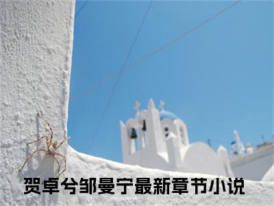 贺卓兮邹曼宁小说(贺卓兮邹曼宁)免费阅读无弹窗，小说名字是：贺卓兮邹曼宁的小说在线阅读无删减