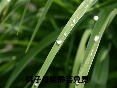 韩子烨骆静芸小说（韩子烨骆静芸）全文免费阅读无弹窗大结局_韩子烨骆静芸小说最新章节列表_笔趣阁（韩子烨骆静芸）