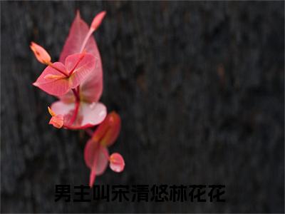 宋清悠林花花完本小说全集阅读-（宋清悠林花花）主角的小说是什么名字