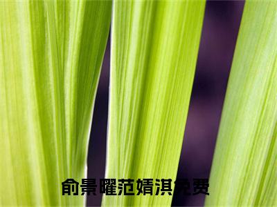 俞景曜范婧淇全文阅读 俞景曜范婧淇小说最新章节