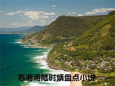 苏湘湘陆时炳(苏湘湘陆时炳)全文阅读无弹窗大结局_苏湘湘陆时炳免费阅读无弹窗最新章节列表