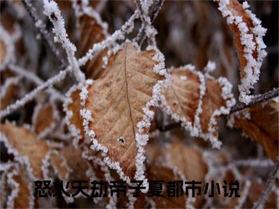 怒火天劫帝子夏（怒火天劫帝子夏）全文免费阅读无弹窗大结局_怒火天劫帝子夏最新章节列表阅读_笔趣阁