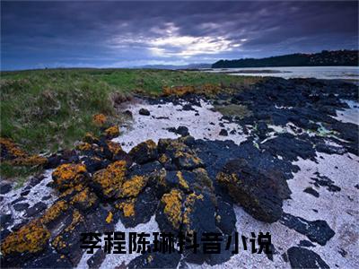 直播：我在文化断层世界写诗全本资源（李程陈琳）全文免费阅读无弹窗大结局_李程陈琳最新章节列表（直播：我在文化断层世界写诗）