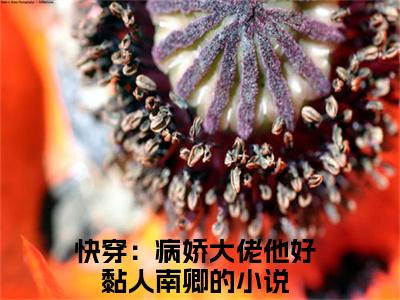 热文（快穿：病娇大佬他好黏人南卿）美文阅读_热门小说主人公是（快穿：病娇大佬他好黏人南卿）最新章节限时观看_笔趣阁