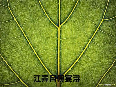 江弄月傅宴浔小说全文免费阅读，江弄月傅宴浔最新章节