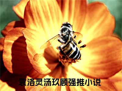 袁洛灵汤玖顾全文免费阅读无弹窗-袁洛灵汤玖顾最新章节列表在线阅读