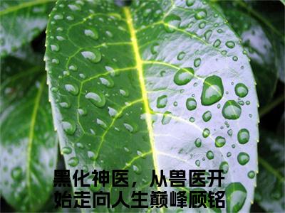 黑化神医，从兽医开始走向人生巅峰顾铭全文最新章节正版小说免费阅读