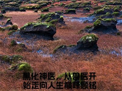 黑化神医，从兽医开始走向人生巅峰顾铭抖音新书热门热荐- 黑化神医，从兽医开始走向人生巅峰顾铭小说在线观看