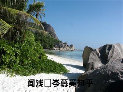 闻浅婼岑慕奚小说全文免费阅读-闻浅婼岑慕奚最新小说全文阅读