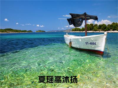 夏瑶高沐扬小说限时免费，夏瑶高沐扬完结版小说阅读无弹窗_笔趣阁