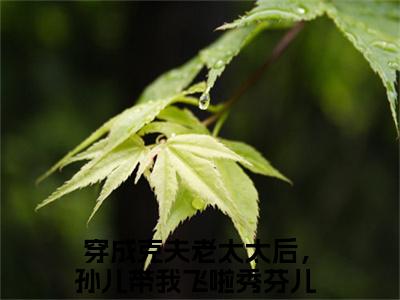 穿成克夫老太太后，孙儿带我飞啦秀芬儿全文（穿成克夫老太太后，孙儿带我飞啦秀芬儿）全文免费阅读无弹窗大结局_穿成克夫老太太后，孙儿带我飞啦秀芬儿全文最新章节列表_笔趣阁（穿成克夫老太太后，孙儿带我飞啦秀芬儿）