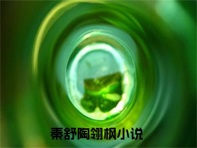 秦舒陶翎枫小说哪里能看-(秦舒陶翎枫)最新章节在线阅读