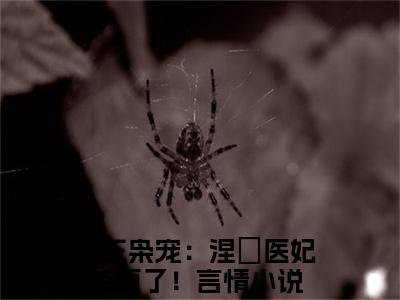 残王枭宠：涅槃医妃杀疯了！小说免费阅读-战云枭沈玉完整版全文大结局