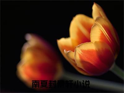 他比盛夏迷人（南夏封景轩）女生必看小说全集_南夏封景轩（他比盛夏迷人）全文免费阅读