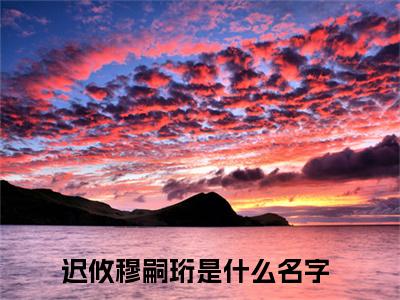 迟攸穆嗣珩-迟攸穆嗣珩新书热荐免费小说