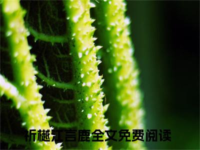 祈樾江言鹿小说（祈樾江言鹿）全文免费阅读无弹窗大结局_（祈樾江言鹿）结局最新章节列表_笔趣阁