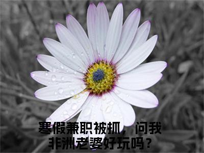 寒假兼职被抓，问我非洲老婆好玩吗？（赵恒）全文免费阅读_寒假兼职被抓，问我非洲老婆好玩吗？最新章节小说免费阅读_笔趣阁