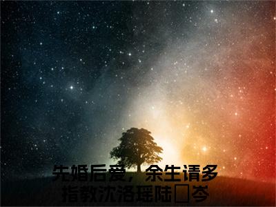 沈洛瑶陆旻岑小说在线阅读（先婚后爱，余生请多指教）全文免费阅读大结局_沈洛瑶陆旻岑最新章节列表笔趣阁