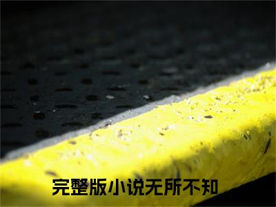 小说林齐（无所不知全文免费阅读）完结阅读_无所不知全文免费阅读免费看全文