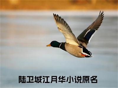 陆卫城江月华（陆卫城江月华小说）全文免费阅读无弹窗大结局_（陆卫城江月华）陆卫城江月华最新章节列表笔趣阁（陆卫城江月华）