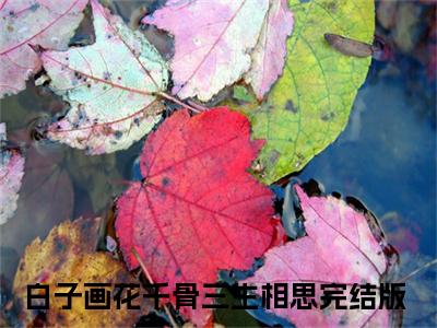 白子画花千骨小说（三生相思）全文免费读无弹窗大结局_（三生相思小说免费白子画花千骨阅读）