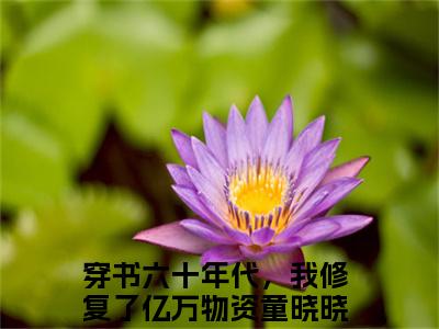 穿书六十年代，我修复了亿万物资童晓晓（穿书六十年代，我修复了亿万物资童晓晓）最新章节阅读-穿书六十年代，我修复了亿万物资童晓晓小说大结局