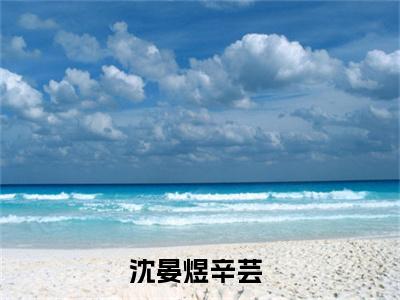 沈晏煜辛芸（大结局小说全集完整版）沈晏煜辛芸小说_沈晏煜辛芸全文阅读笔趣阁