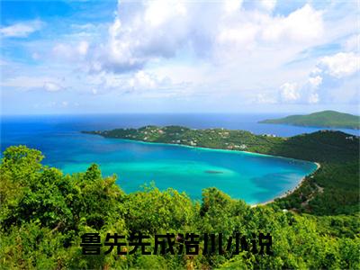 鲁先先成浩川全文小说（鲁先先成浩川）在线阅读无弹窗大结局_鲁先先成浩川全文在线阅读无弹窗