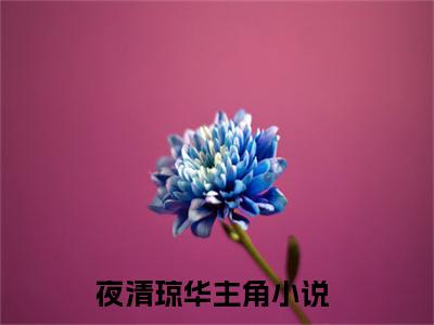 夜清琼华免费阅读无弹窗，夜清琼华小说大结局全文免费阅读