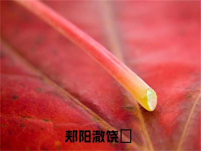 郏阳澈饶珆热门小说最新章节免费阅读-完结版全文郏阳澈饶珆小说在线阅读