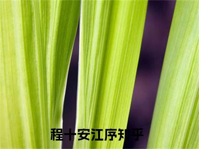 程十安江序在线阅读小说推荐-程十安江序免费阅读全文