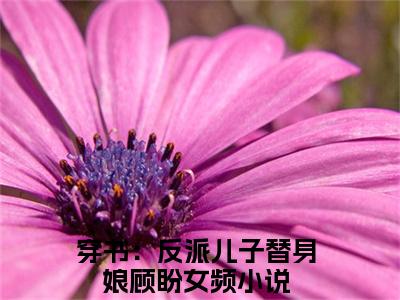 穿书：反派儿子替身娘顾盼（穿书：反派儿子替身娘顾盼）全文免费阅读无弹窗大结局_穿书：反派儿子替身娘顾盼全文免费完结版阅读（穿书：反派儿子替身娘顾盼）