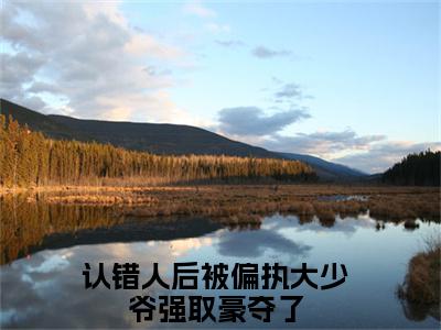 顾惜祁野（认错人后被偏执大少爷强取豪夺了）全文免费阅读_顾惜祁野（认错人后被偏执大少爷强取豪夺了）章节免费阅读-笔趣阁