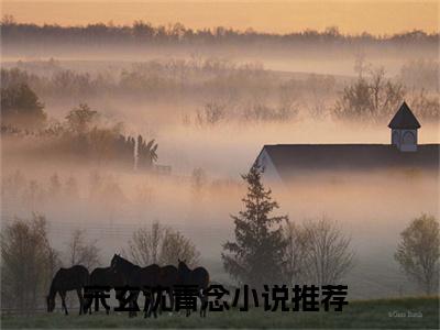 宋玄沈青念抖音最新热点小说，生娃死遁后，新帝抱娃夜夜痛哭小说最新章节阅读