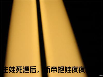 宋玄沈青念（生娃死遁后，新帝抱娃夜夜痛哭）全文免费阅读无弹窗_（宋玄沈青念小说免费阅读）最新章节列表笔趣阁