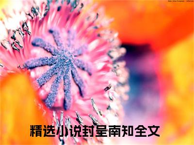 封呈南知（封呈南知）全文免费阅读大结局-封呈南知最新章节列表笔趣阁