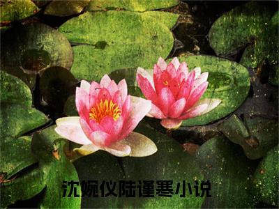 沈婉仪陆谨寒（完整版）热文小说阅读-沈婉仪陆谨寒全文抖音热推