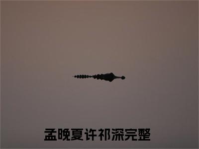 孟晚夏许祁深(孟晚夏许祁深)全文免费读无弹窗大结局_孟晚夏许祁深免费阅读全文大结局最新章节列表_笔趣阁