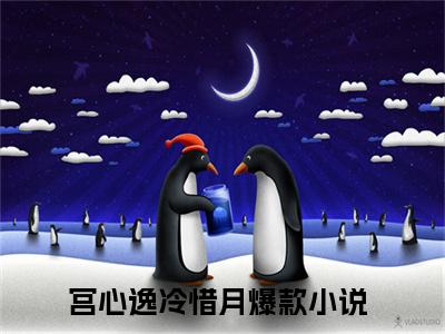 宫心逸冷惜月（宫心逸冷惜月）多人推荐阅读-精选小说（宫心逸冷惜月）完整版免费阅读